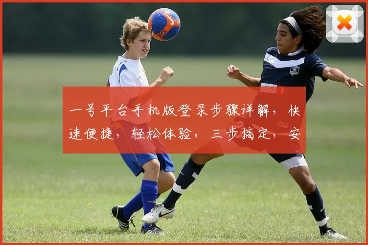 一号平台手机版登录步骤详解，快速便捷，轻松体验，三步搞定，安全可靠